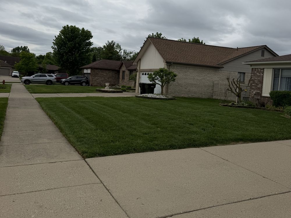 A freshly mowed front lawn alongside a driveway
